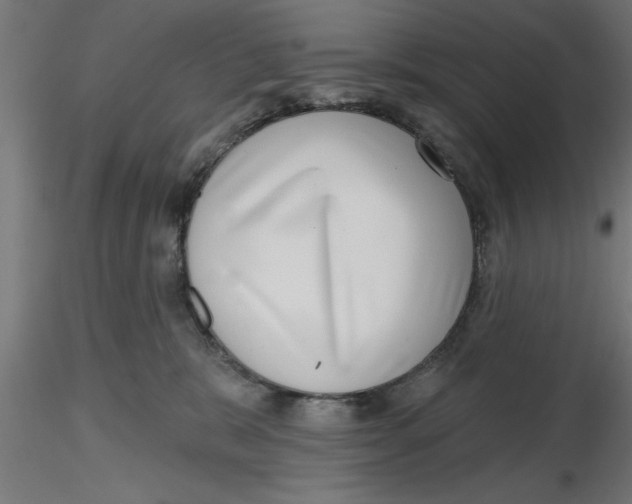 X0000116770327201001071221