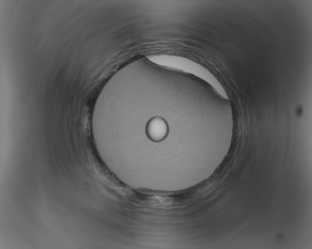 X0000116770328201001071221