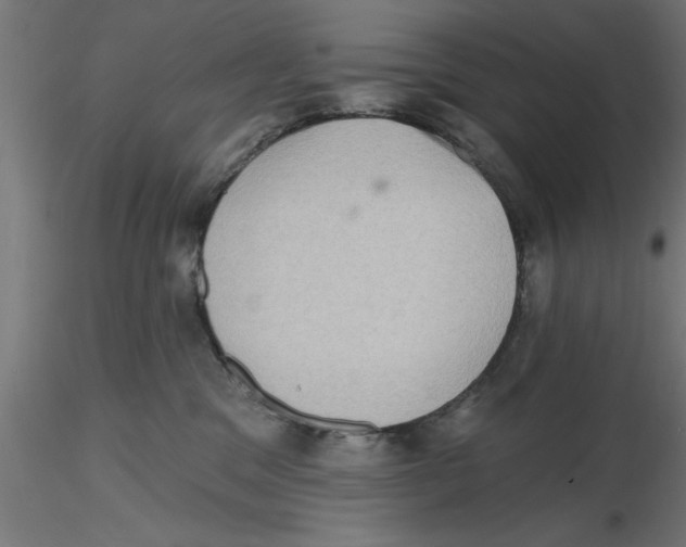 X0000116770329201001071221