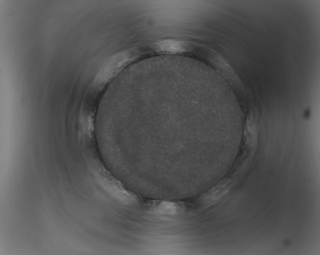 X0000116770330201001071221