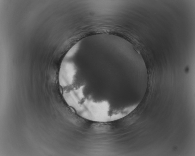 X0000116770331201001071221