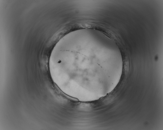 X0000116770332201001071221