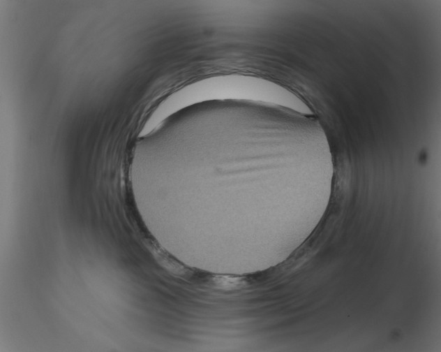 X0000116770333201001071221