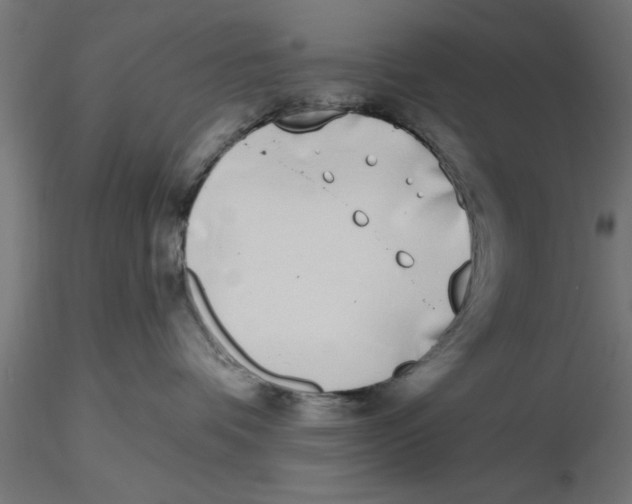 X0000116770336201001071221