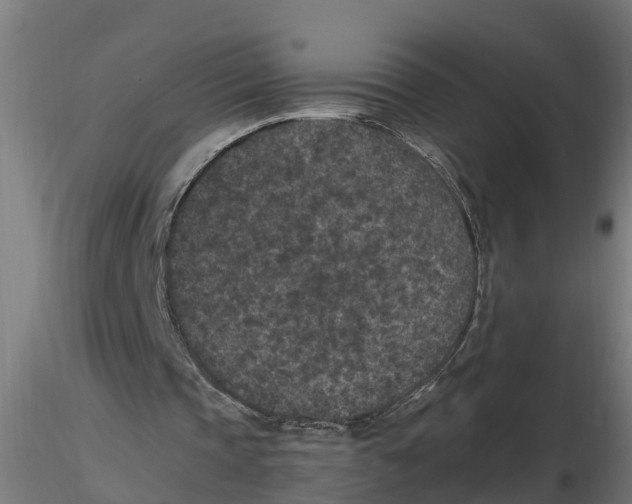 X0000116770337201001071221