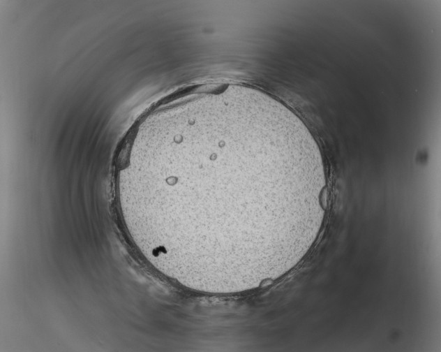 X0000116770338201001071221