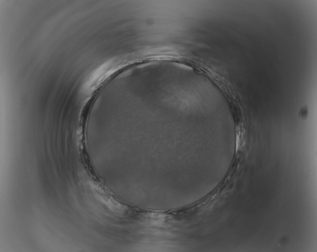 X0000116770339201001071221