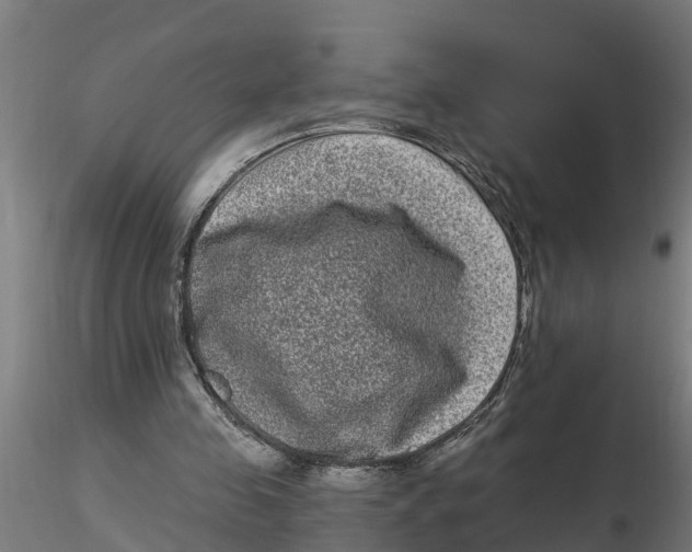 X0000116770341201001071221