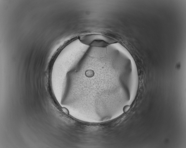 X0000116770342201001071221