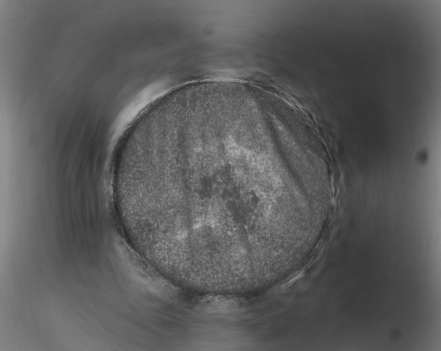 X0000116770343201001071221