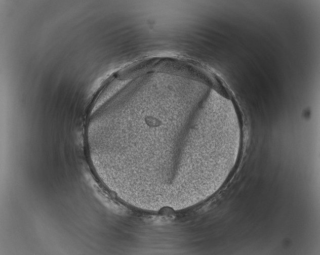 X0000116770345201001071221