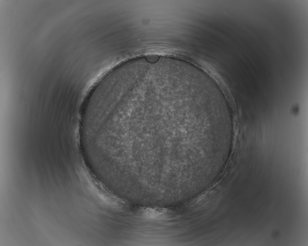 X0000116770346201001071221