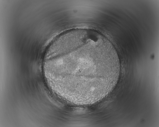 X0000116770347201001071221