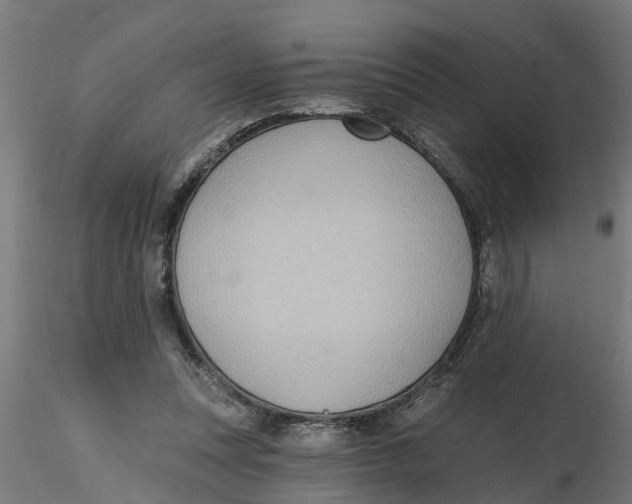 X0000116770351201001071221