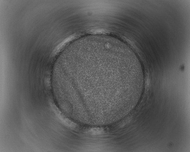 X0000116770353201001071221