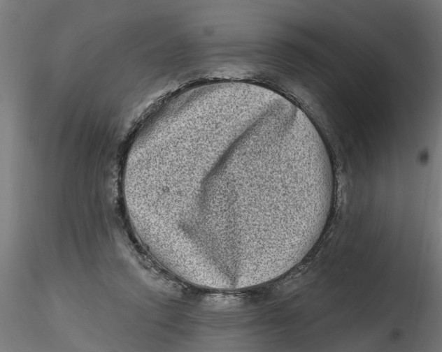 X0000116770354201001071221