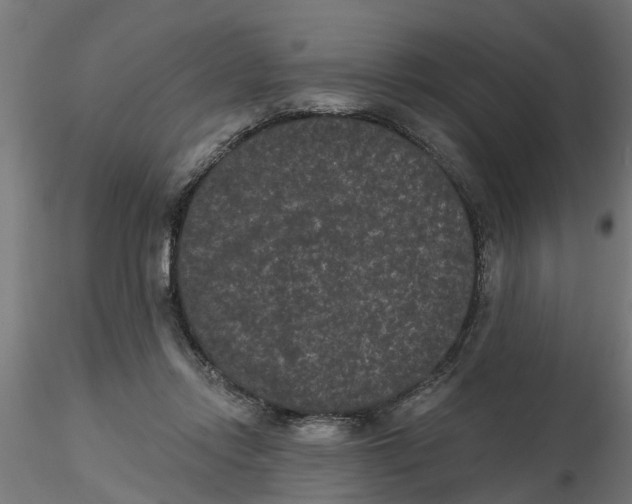 X0000116770358201001071221