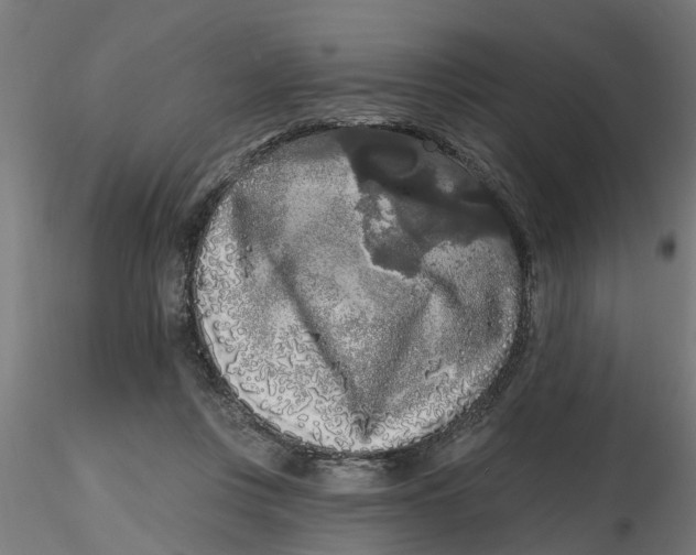 X0000116770359201001071221