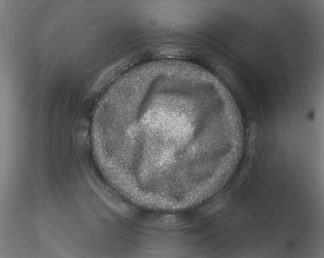 X0000116770361201001071221