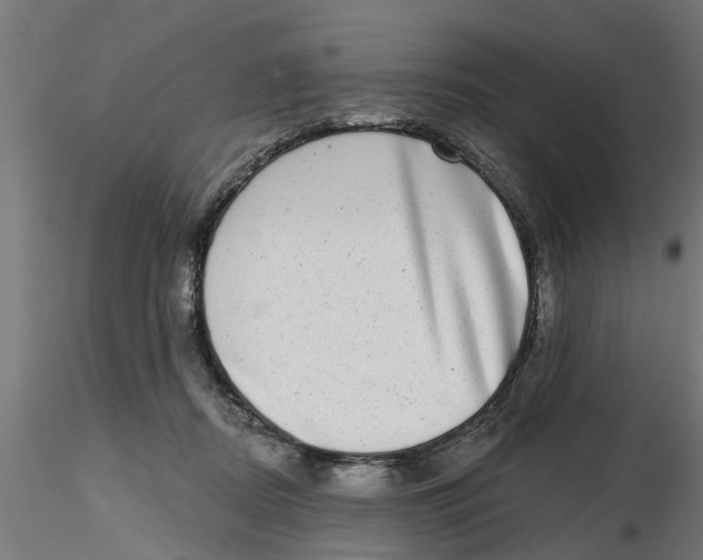 X0000116770362201001071221