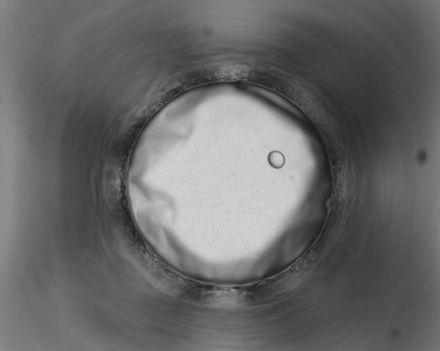 X0000116770363201001071221