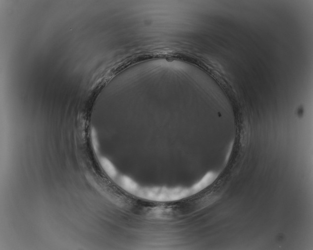 X0000116770366201001071221