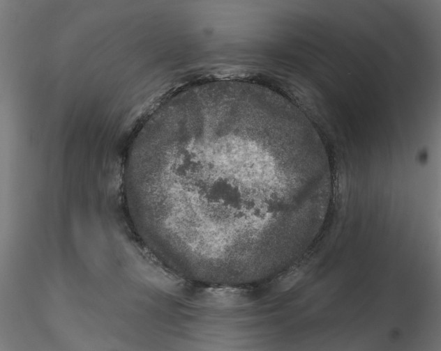 X0000116770367201001071221