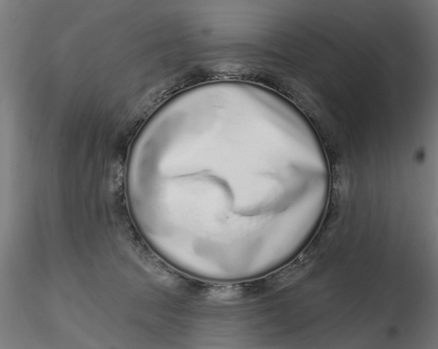 X0000116770369201001071221