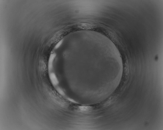 X0000116770371201001071221