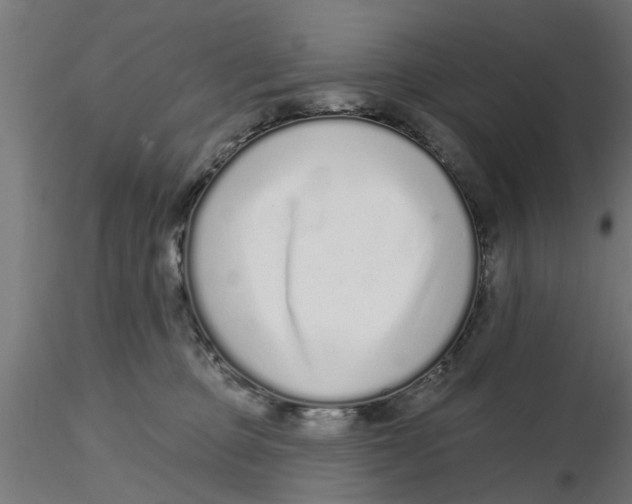 X0000116770373201001071221