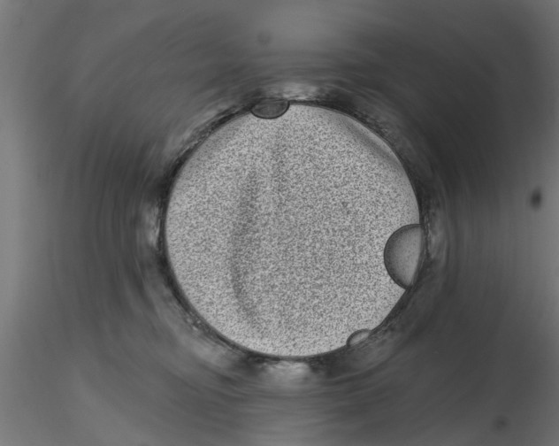 X0000116770374201001071221