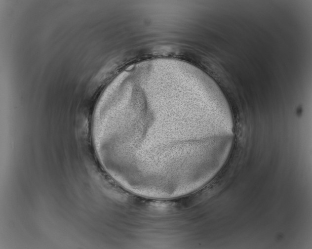 X0000116770375201001071221