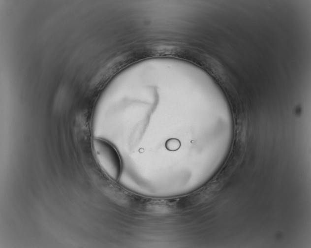 X0000116770377201001071221