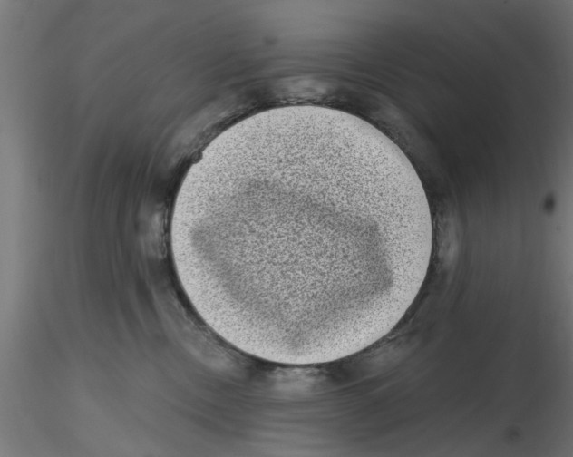 X0000116770378201001071221