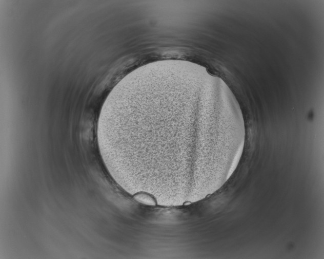 X0000116770379201001071221