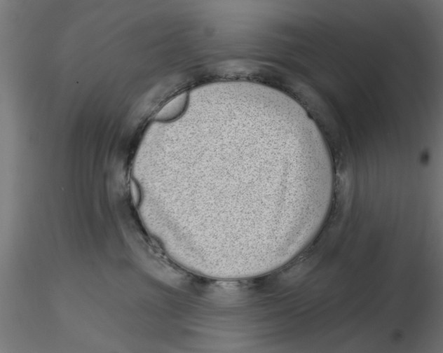 X0000116770381201001071221