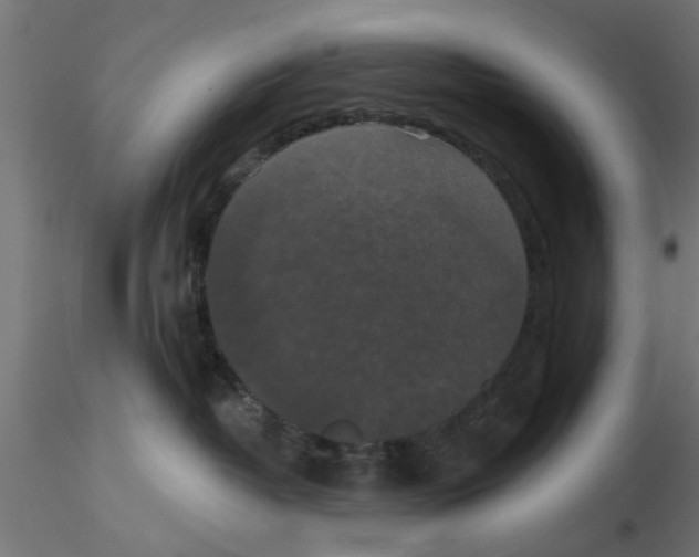 X0000116770382201001071221