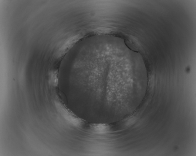 X0000116770383201001071221