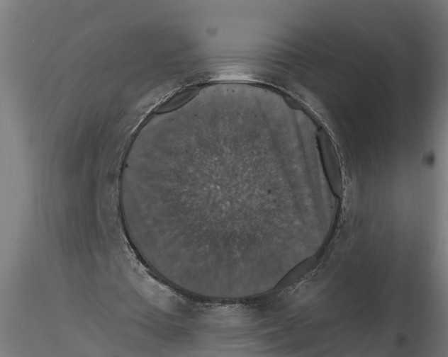 X0000116770385201001071221