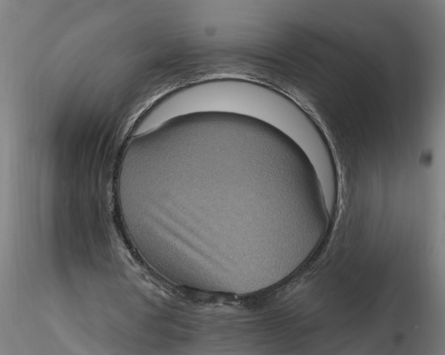 X0000116770386201001071220