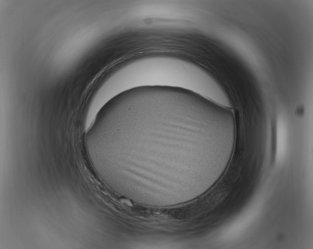 X0000116770387201001071220