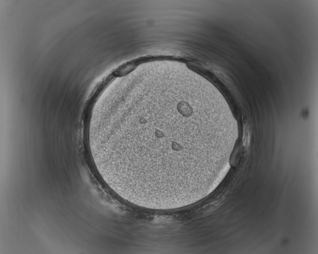 X0000116770388201001071220