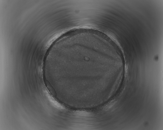 X0000116770389201001071220