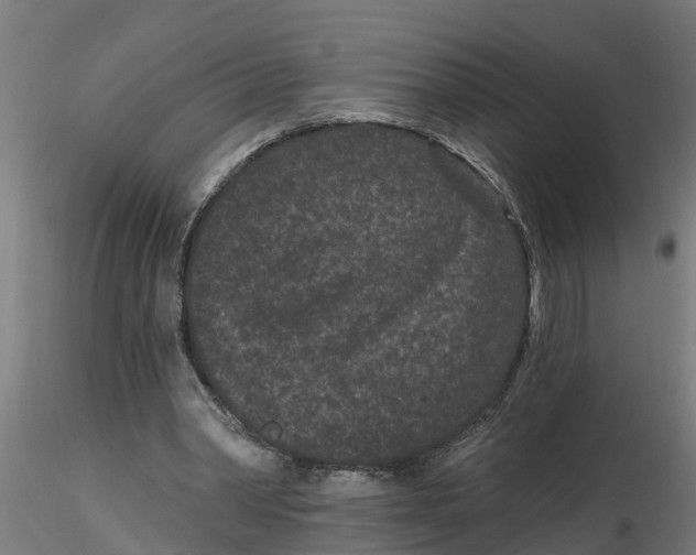 X0000116770390201001071220