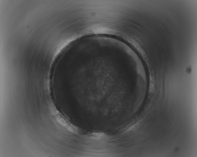 X0000116770391201001071220