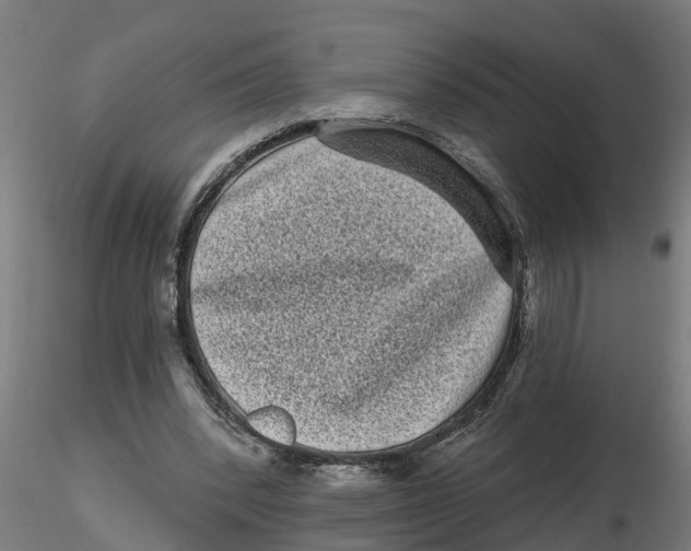 X0000116770392201001071220