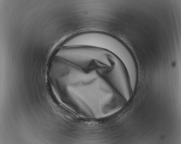 X0000116770395201001071220