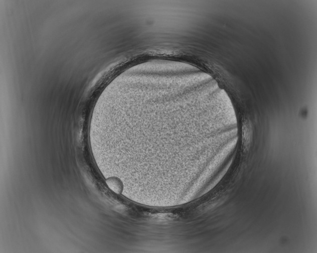 X0000116770396201001071220