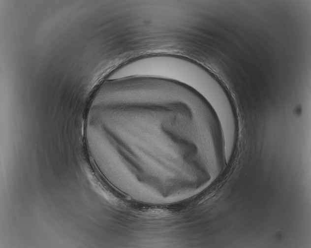 X0000116770397201001071220