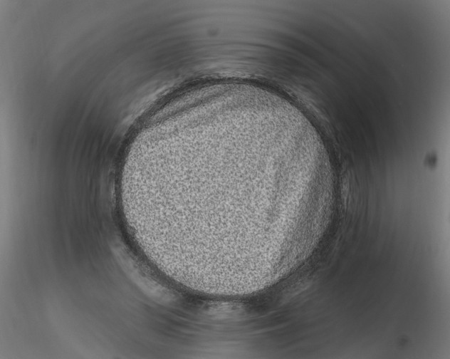 X0000116770398201001071220